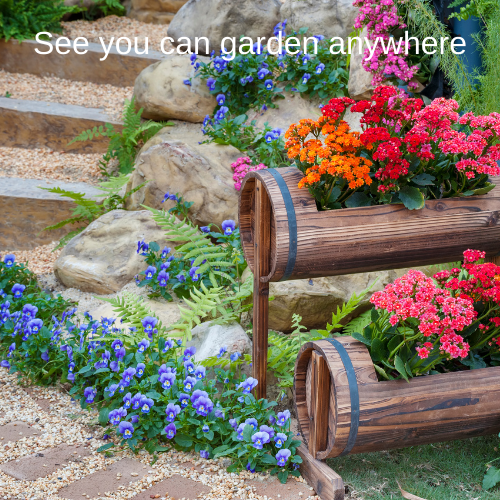 The small space garden shows you can garden anywhere