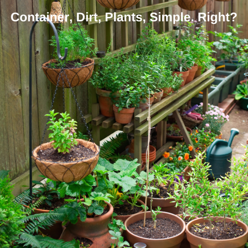 shows how simple a container vegetable garden can be.