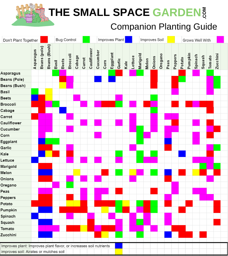 SSG Companion Planting Guide 2 